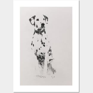 Dalmatian dog watercolor Posters and Art